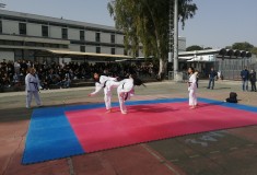 taekwondo1