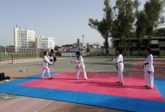 taekwondo3