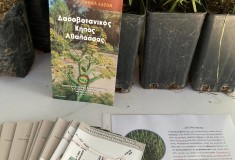 tree-week-feb22-3