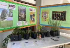tree-week-feb22-4