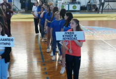 basket-panellinio-3