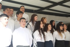 march25_ekdilosi_x15