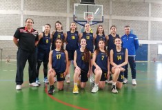 per-basket-8yleon-dec22-1