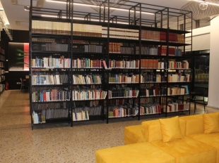 PIC21