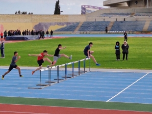 Pic11